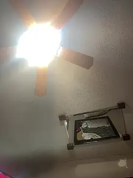 Snapshot of SmokingSloth chatting on February 2026 02:31:02 PM SmokingSloth online show from February 2026 02:31:02 PM