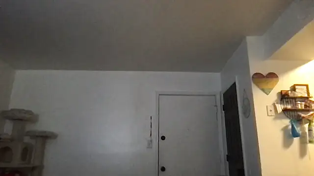 SpunCandy online show from January 2026 03:17:01 PM