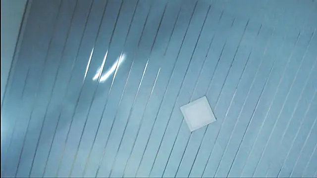 samy foox online show from December 2024 12:17:02 AM