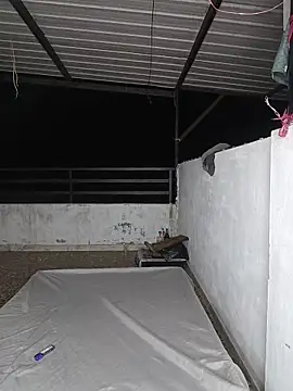 Jake bom online show from April 2026 07:33:01 AM