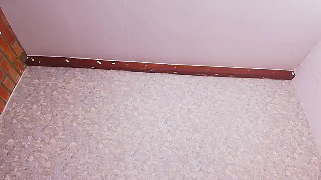 nicol f online show from December 2024 07:33:01 PM