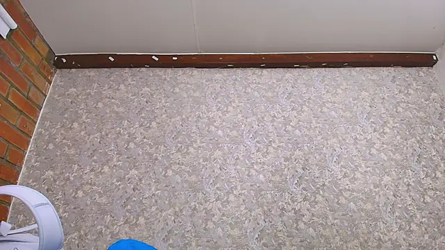 nicol f online show from January 2025 07:10:02 PM