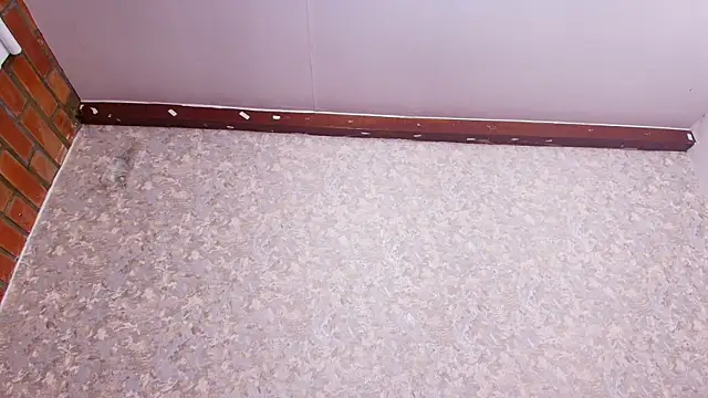 nicol f online show from February 2025 01:26:02 AM