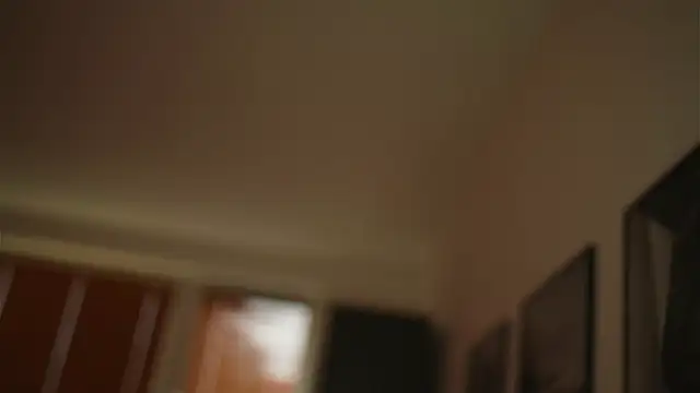 Bellis Perenis online show from December 2024 08:54:02 AM