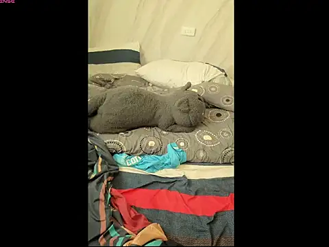 bbhiShark online show from July 2026 03:06:02 AM