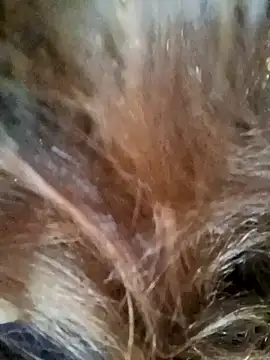 Beautyy38 online show from December 2024 03:16:02 AM