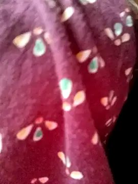 Snapshot of Beautyy38 chatting on March 2025 07:49:02 PM Beautyy38 online show from March 2025 07:49:02 PM