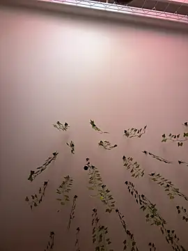 -Sexy Barbie- online show from March 2025 02:43:02 AM