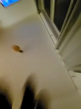 Snapshot of eric69_69 chatting on November 2025 12:32:01 AM eric69 69 online show from November 2025 12:32:01 AM