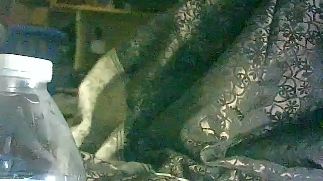 DI4MOND FIR3 online show from March 2026 05:55:02 AM