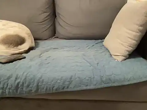 4small4inchlol online show from February 2026 11:49:02 PM