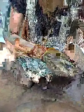 FeltedEuropium online show from November 2025 09:19:02 AM