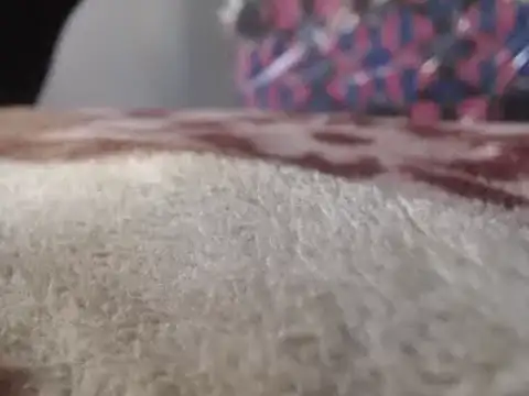 hoittytoittyxx online show from March 2025 03:20:01 PM