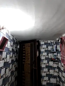 whvysky3 online show from April 2026 03:33:01 AM