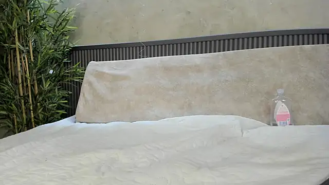 Will Hendrix online show from December 2024 06:48:02 PM