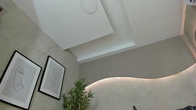 Will Hendrix online show from January 2025 05:58:01 PM