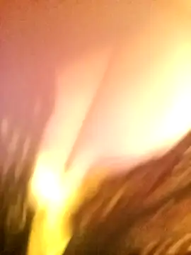 JAWHARA  online show from December 2025 10:03:01 PM