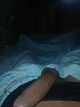 taylorWiiz online show from November 2025 01:57:02 PM