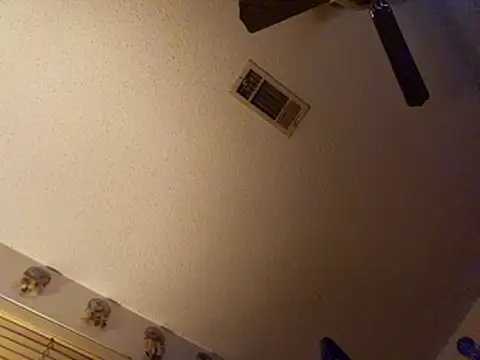 coolbrease10 online show from March 2026 11:36:01 AM