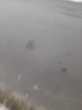 BRUNNA online show from March 2025 03:34:01 AM