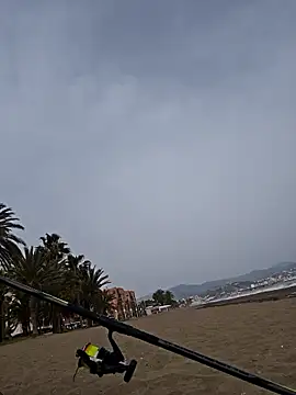 charlye inkkkk online show from March 2026 02:35:02 PM