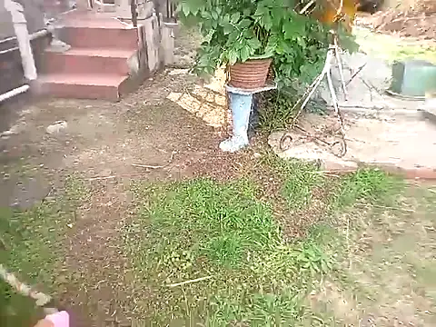 bustybillies online show from October 2025 03:54:01 PM