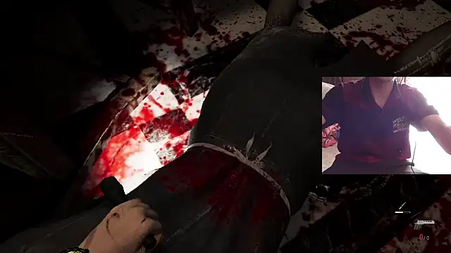 Dreamdaze2025 online show from April 2026 05:46:02 AM