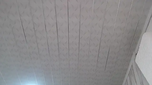 Snapshot of Violeth_b chatting on February 2025 12:36:01 PM Violeth b online show from February 2025 12:36:01 PM