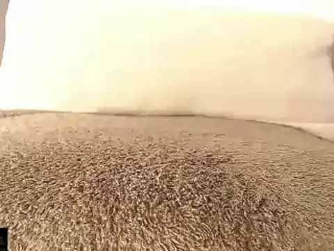 Snapshot of mikellwilliams10 chatting on March 2025 01:29:01 PM mikellwilliams10 online show from March 2025 01:29:01 PM