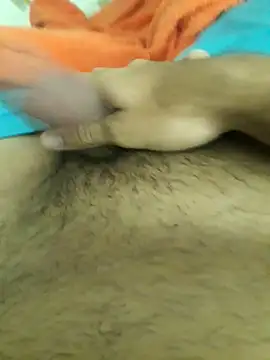 lm279 online show from November 2025 09:08:02 AM