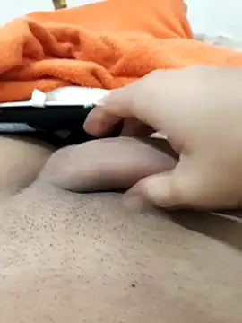 lm279 online show from November 2025 01:33:02 PM