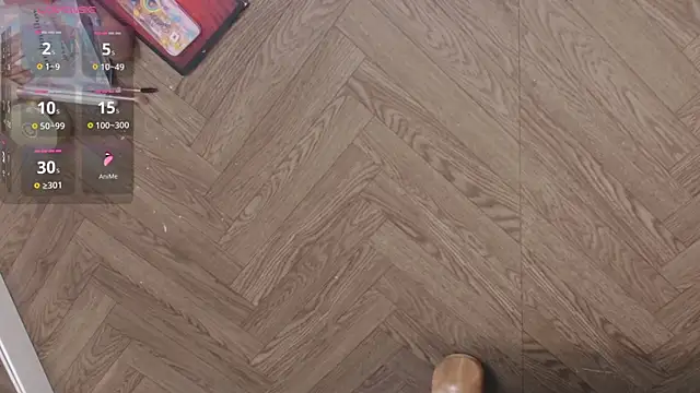 Snapshot of Lana-Gross chatting on January 2025 01:32:01 PM Lana-Gross online show from January 2025 01:32:01 PM