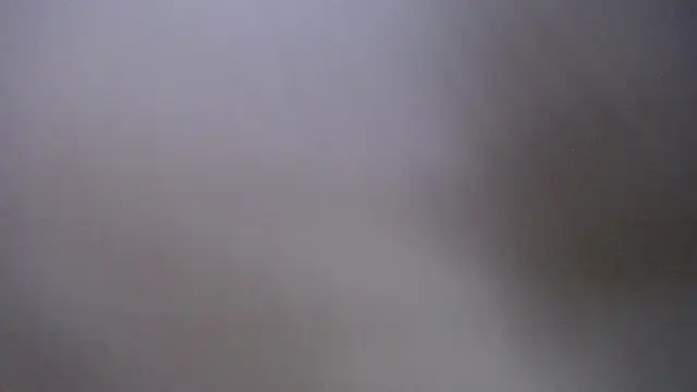 Andy Joy  online show from March 2026 10:33:02 AM