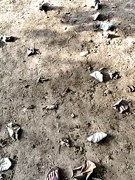 Ishan003 online show from September 2025 01:38:02 AM