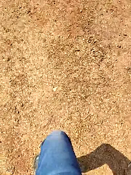 Ishan003 online show from February 2026 05:22:02 AM