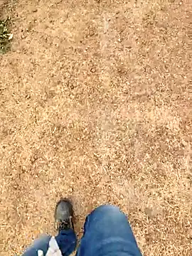 Ishan003 online show from March 2026 03:03:02 AM