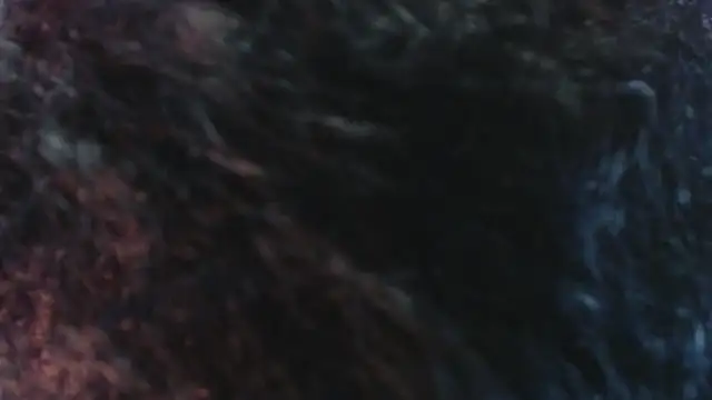 Sofiacowperx online show from March 2026 12:38:02 PM