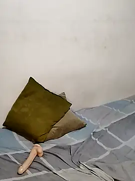 Snapshot of Tripisv chatting on February 2025 01:58:01 AM Tripisv online show from February 2025 01:58:01 AM