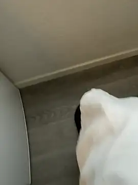 YoungCouple0604 online show from January 2026 10:08:02 AM