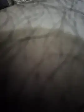 Snapshot of Piter1022 chatting on November 2025 12:18:02 PM Piter1022 online show from November 2025 12:18:02 PM