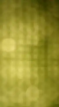 Sexybeer2005 online show from December 2024 10:06:01 PM