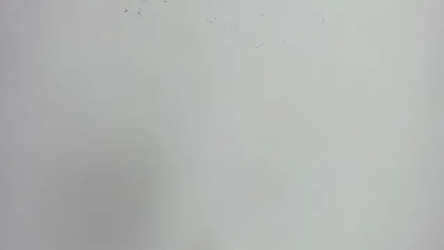 missexy303av online show from September 2025 08:56:02 PM