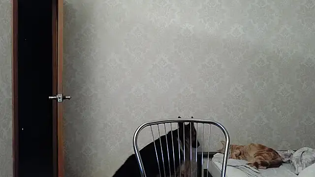 Kashtanka  online show from December 2024 04:56:01 AM