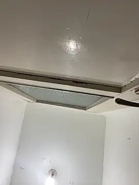 themany29 online show from December 2025 07:32:01 PM