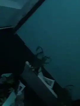 big cock is back online show from December 2024 01:56:01 AM