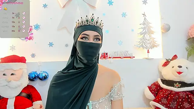 iiris  online show from December 2024 01:07:02 PM