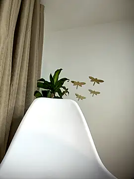 cuteluci  online show from November 2025 11:43:02 PM