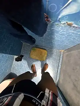 SageElement2 online show from February 2026 08:16:02 PM