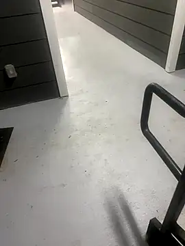 zeekBbc online show from October 2025 08:26:01 AM