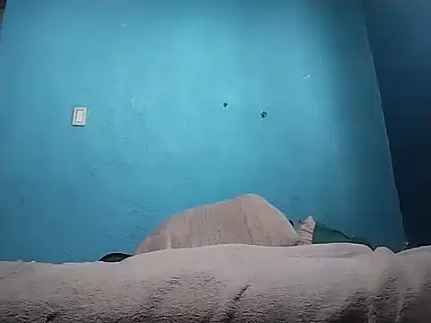 Vago745 online show from April 2026 08:24:02 PM